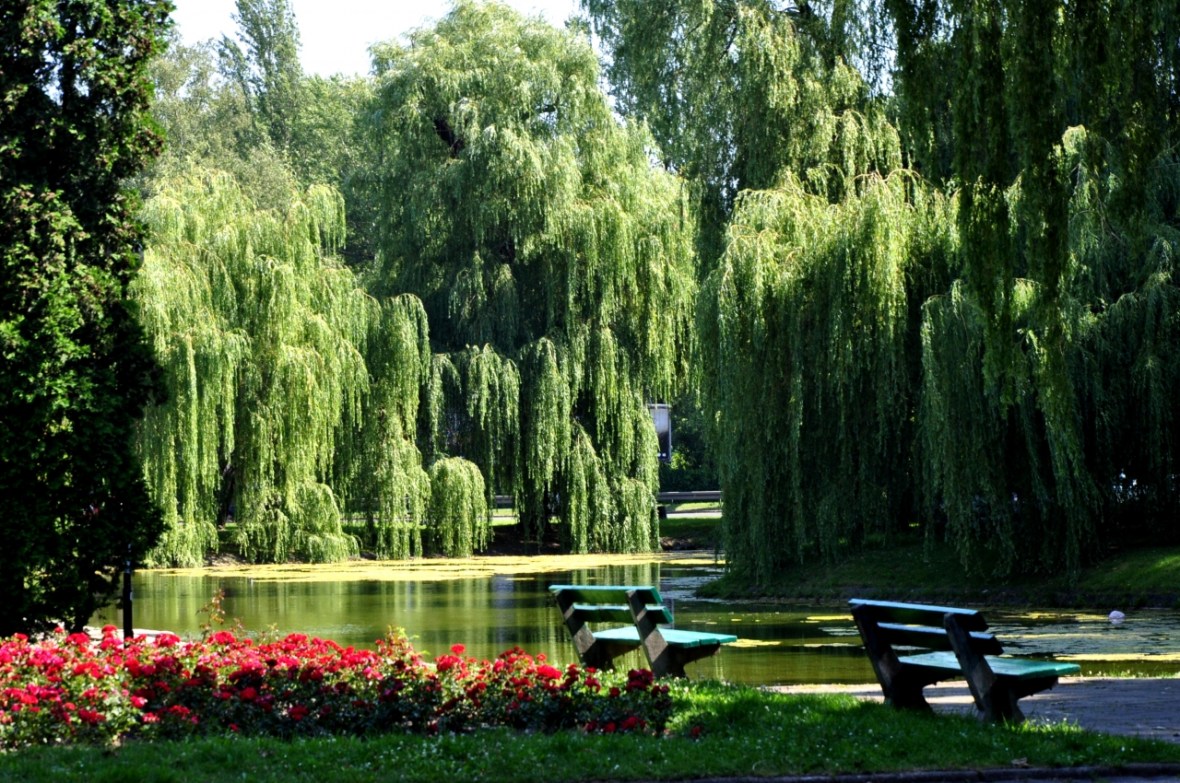 1434716521-park-fosa-(7)